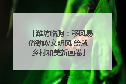 潍坊临朐：移风易俗劲吹文明风 绘就乡村和美新画卷