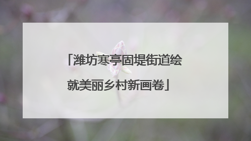 潍坊寒亭固堤街道绘就美丽乡村新画卷