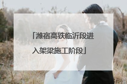 潍宿高铁临沂段进入架梁施工阶段