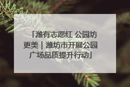 潍有志愿红 公园坊更美｜潍坊市开展公园广场品质提升行动