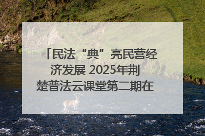 民法“典”亮民营经济发展 2025年荆楚普法云课堂第二期在武汉客厅开讲