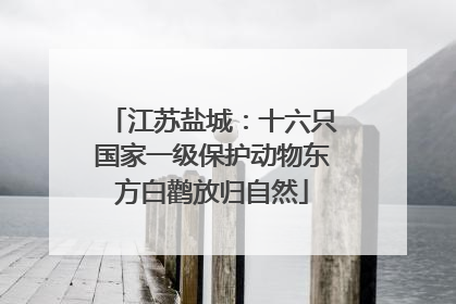 江苏盐城：十六只国家一级保护动物东方白鹳放归自然