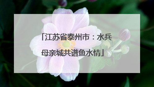 江苏省泰州市：水兵母亲城共谱鱼水情