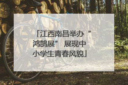 江西南昌举办“鸿鹄展” 展现中小学生青春风貌