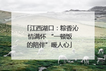 江西湖口:粽香沁 情满怀 “一顿饭的陪伴”暖人心