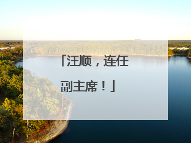 汪顺，连任副主席！