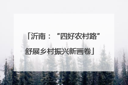 沂南：“四好农村路”舒展乡村振兴新画卷