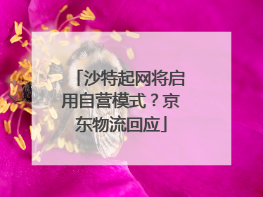 沙特起网将启用自营模式？京东物流回应