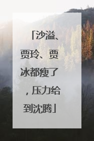 沙溢、贾玲、贾冰都瘦了，压力给到沈腾
