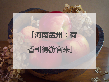 河南孟州：荷香引得游客来