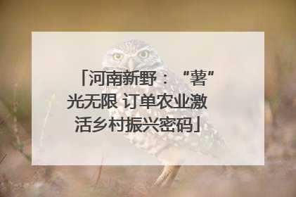河南新野：“薯”光无限 订单农业激活乡村振兴密码