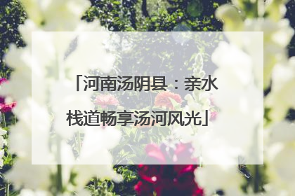 河南汤阴县：亲水栈道畅享汤河风光