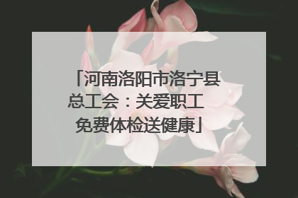 河南洛阳市洛宁县总工会：关爱职工 免费体检送健康