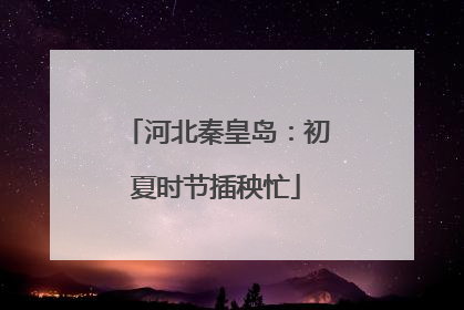 河北秦皇岛：初夏时节插秧忙
