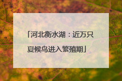 河北衡水湖：近万只夏候鸟进入繁殖期