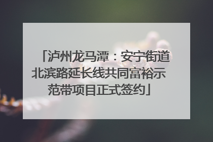 泸州龙马潭：安宁街道北滨路延长线共同富裕示范带项目正式签约