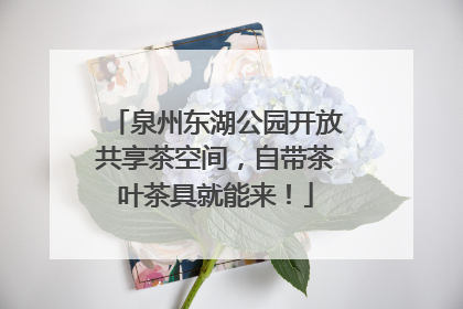 泉州东湖公园开放共享茶空间，自带茶叶茶具就能来！