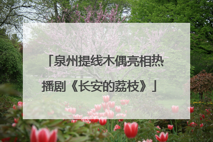 泉州提线木偶亮相热播剧《长安的荔枝》