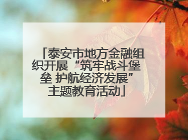 泰安市地方金融组织开展“筑牢战斗堡垒 护航经济发展”主题教育活动