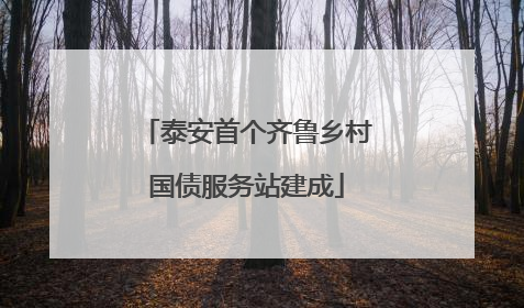 泰安首个齐鲁乡村国债服务站建成