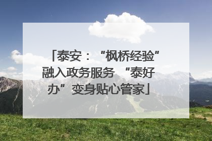 泰安：“枫桥经验”融入政务服务 “泰好办”变身贴心管家