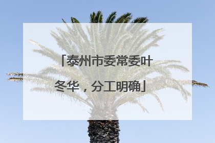 泰州市委常委叶冬华，分工明确