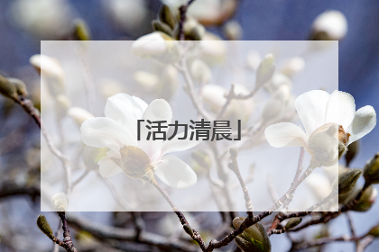 活力清晨