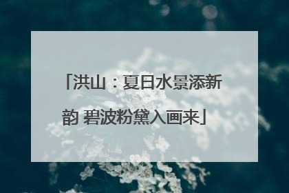 洪山：夏日水景添新韵 碧波粉黛入画来