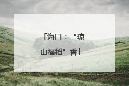 海口：“琼山福稻”香
