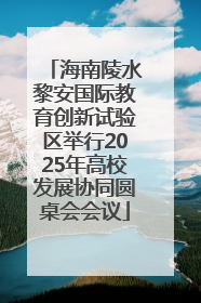 海南陵水黎安国际教育创新试验区举行2025年高校发展协同圆桌会会议