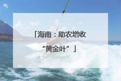 海南：助农增收 “黄金叶”