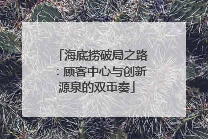 海底捞破局之路：顾客中心与创新源泉的双重奏