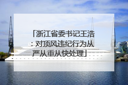 浙江省委书记王浩：对顶风违纪行为从严从重从快处理