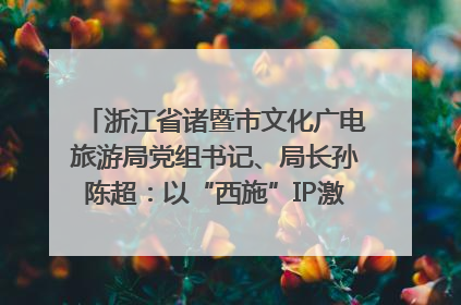 浙江省诸暨市文化广电旅游局党组书记、局长孙陈超：以“西施”IP激活全域旅游 打造县域文旅融合新标杆｜第七届全国县域旅游研究成果发布系列活动