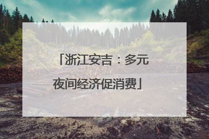 浙江安吉：多元夜间经济促消费