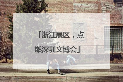 浙江展区，点燃深圳文博会
