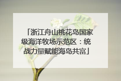 浙江舟山桃花岛国家级海洋牧场示范区：统战力量赋能海岛共富