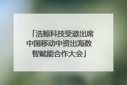 浩鲸科技受邀出席中国移动中资出海数智赋能合作大会