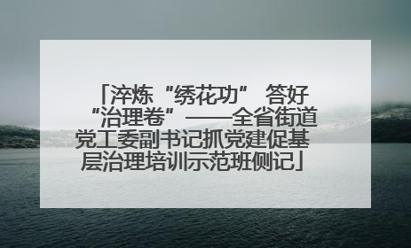 淬炼“绣花功” 答好“治理卷”——全省街道党工委副书记抓党建促基层治理培训示范班侧记