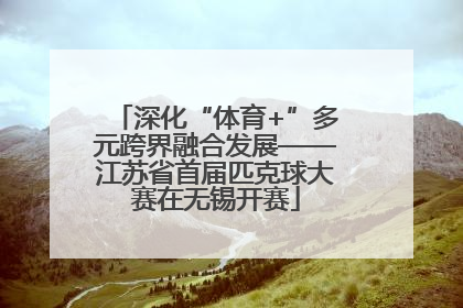 深化“体育+”多元跨界融合发展——江苏省首届匹克球大赛在无锡开赛