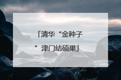 清华“金种子”津门结硕果