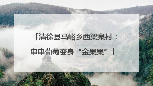 清徐县马峪乡西梁泉村：串串葡萄变身“金果果”