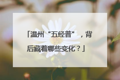 温州“五经普”，背后藏着哪些变化？
