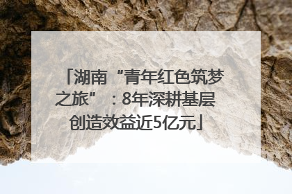 湖南“青年红色筑梦之旅”：8年深耕基层创造效益近5亿元