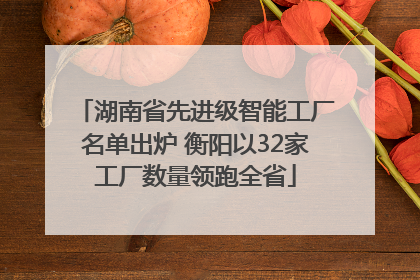 湖南省先进级智能工厂名单出炉 衡阳以32家工厂数量领跑全省