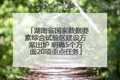 湖南省国家数据要素综合试验区建设方案出炉 明确5个方面20项重点任务