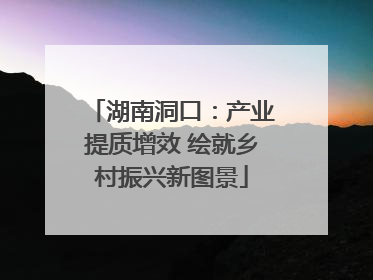湖南洞口：产业提质增效 绘就乡村振兴新图景