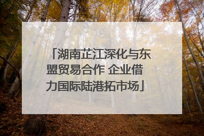 湖南芷江深化与东盟贸易合作 企业借力国际陆港拓市场