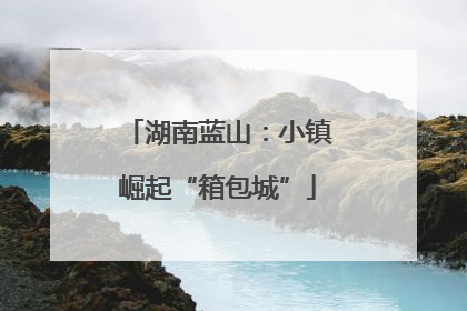 湖南蓝山：小镇崛起“箱包城”