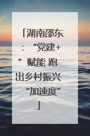 湖南邵东：“党建+”赋能 跑出乡村振兴“加速度”